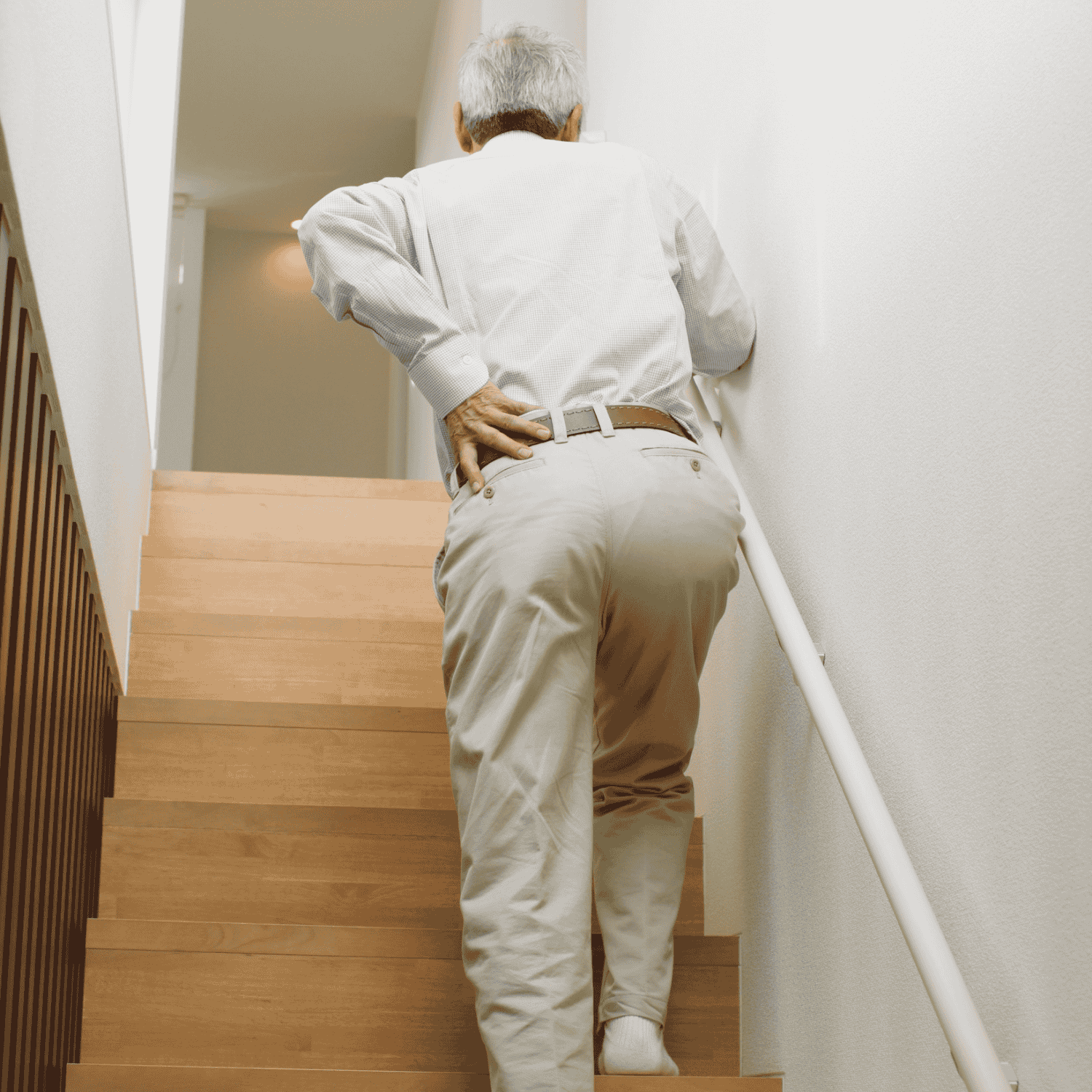 Spine & Back Pain Treatment (মেরুদণ্ড ও কোমর-ঘাড় ব্যথা)